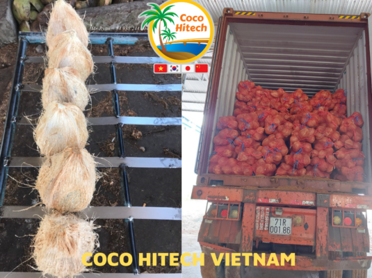 VIETNAM COCONUT