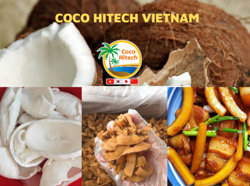 TOP AMAZING USES OF COCONUT COPRA - COCO HITECH