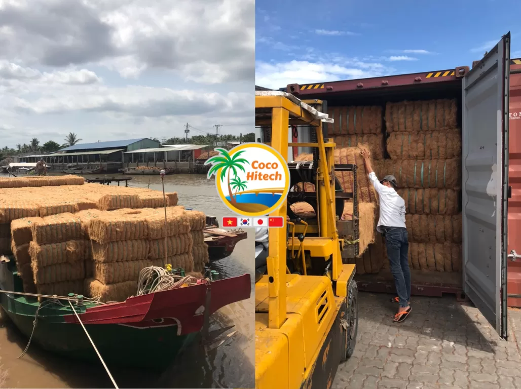 VIETNAM COIR FIBER