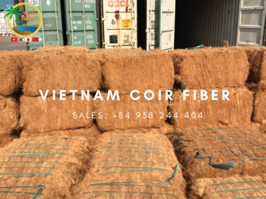 VIETNAM COIR FIBER