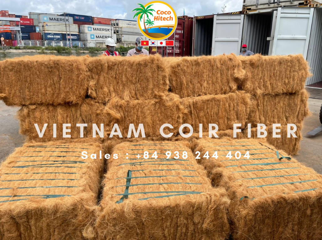 VIETNAM COIR FIBER