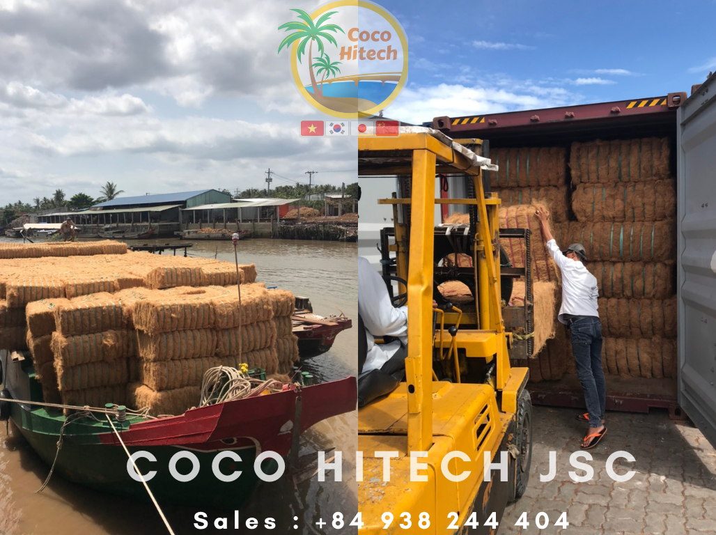 VIETNAM COIR FIBER