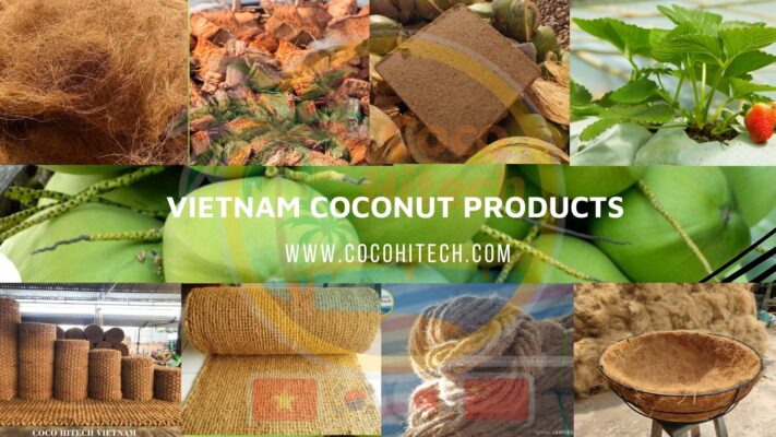 Vietnam coconut products