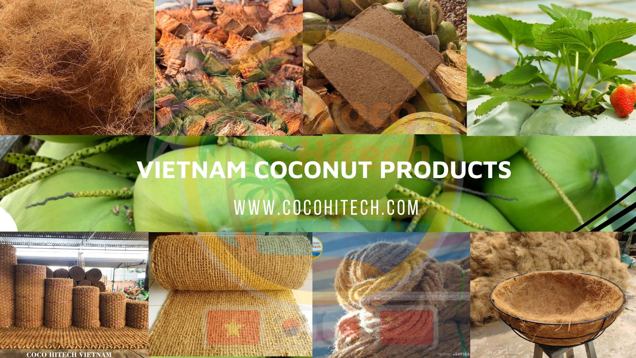 TOP AMAZING USES OF COCONUT COPRA COCO HITECH