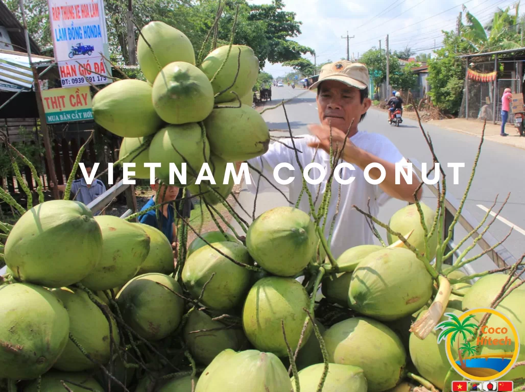vietnam coconut