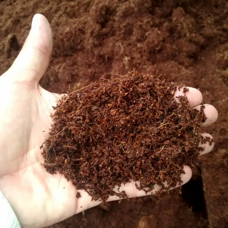 Coco peat