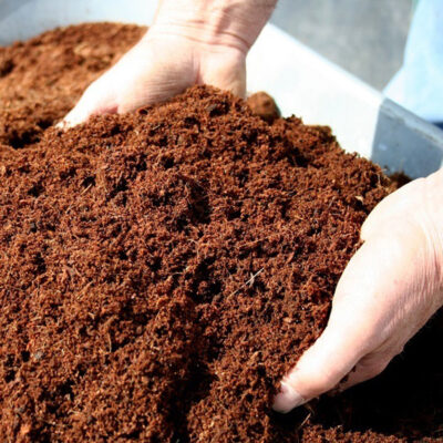COCO PEAT FOR PLANT