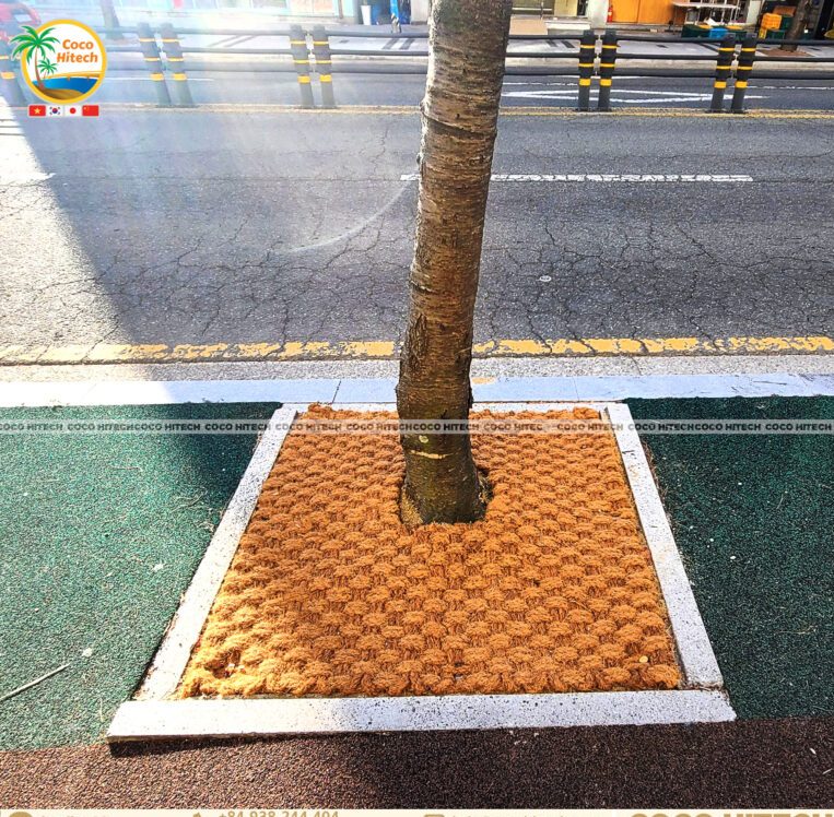 COIR FIBER TREE RING