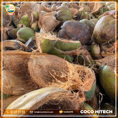 Coconut Husks are Best Alternatives to Wood