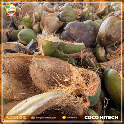 Coconut shell – The optimal alternative for fuel material - COCO