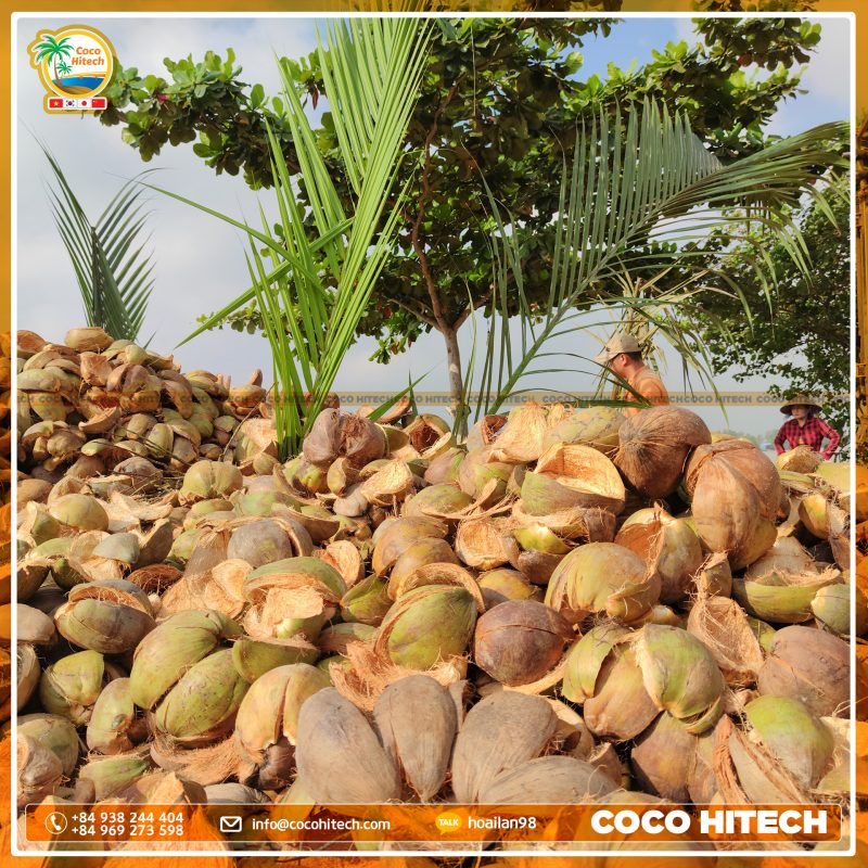 coconut shell supply