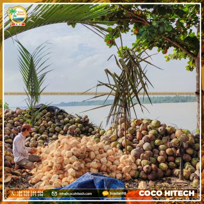 Ben Tre coconut