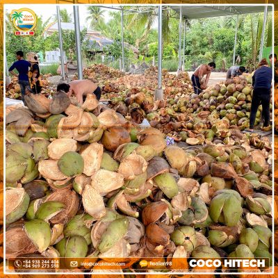 Coconut shell – The optimal alternative for fuel material - COCO HITECH