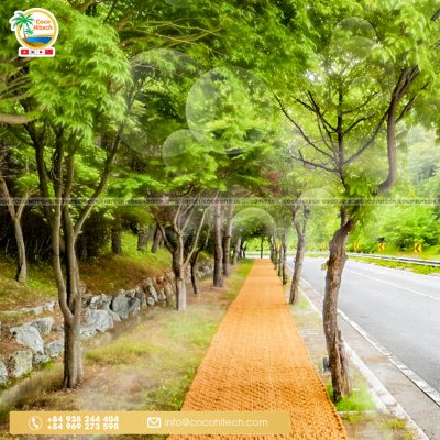 Thảm xơ dừa trải đường