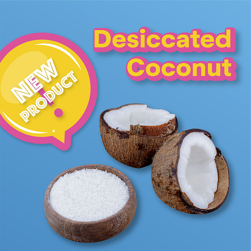 10 Amazing products made from coconut for export - COCO HITECH