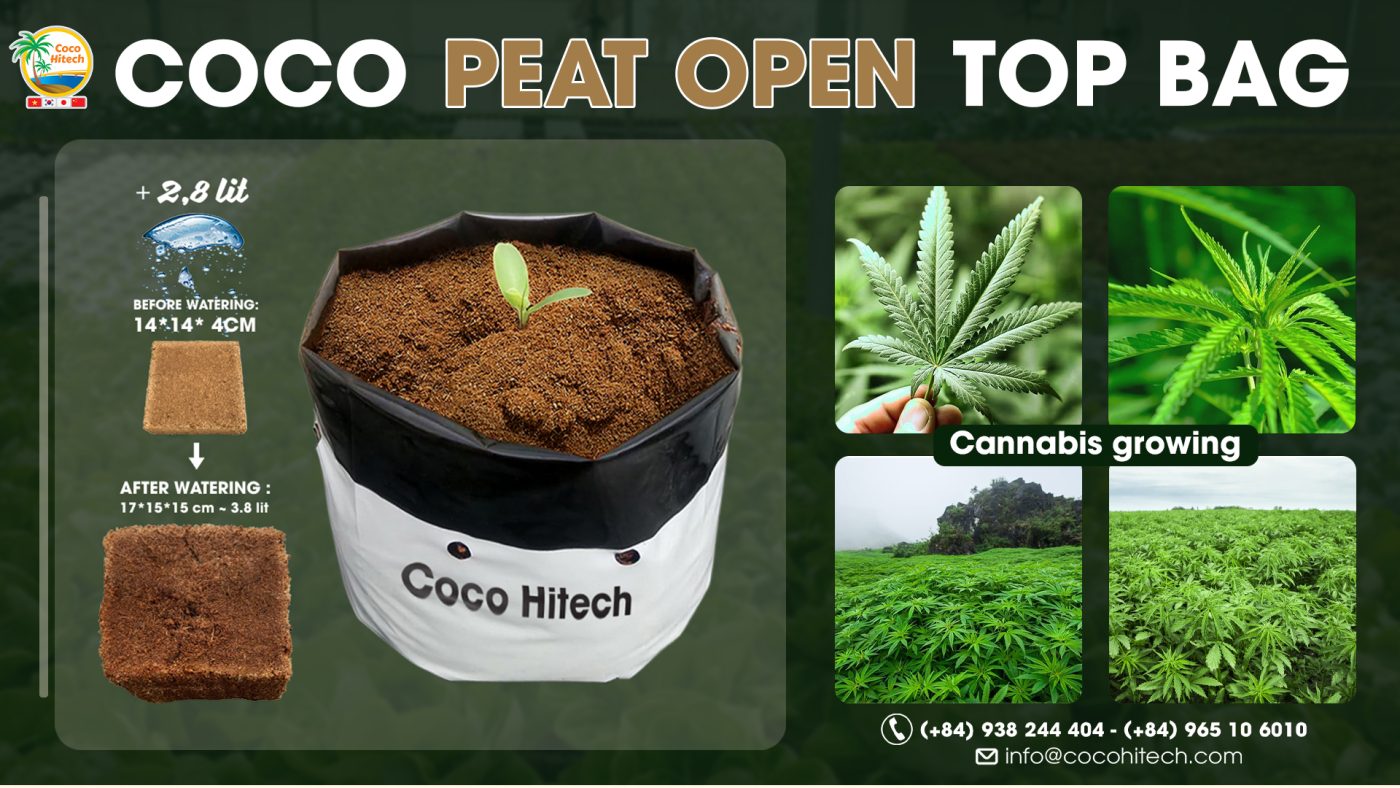Coco peat for growing cannabis