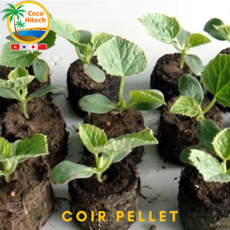 ADVANTAGES OF USING COCO COIR PELLETS - COCO HITECH