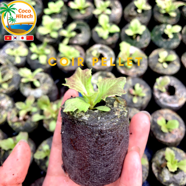 ADVANTAGES OF USING COCO COIR PELLETS - COCO HITECH