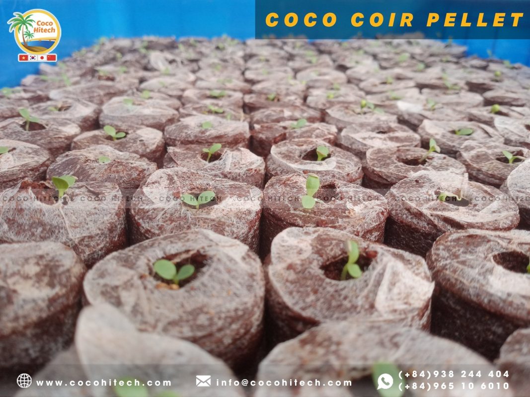 COCO COIR PELLET