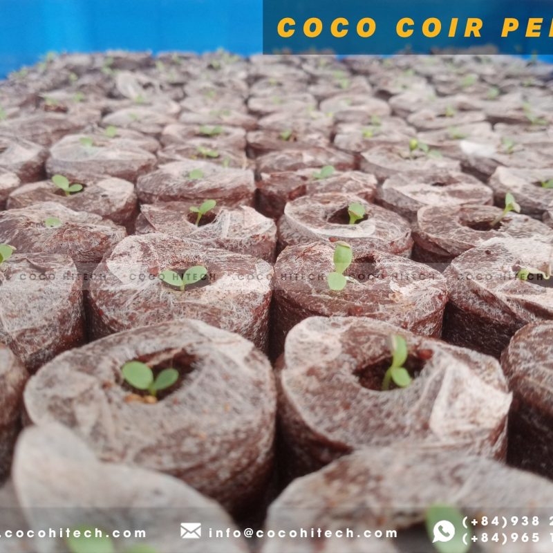 COCO COIR PELLET