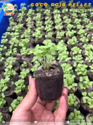 COCO COIR PELLET (18)