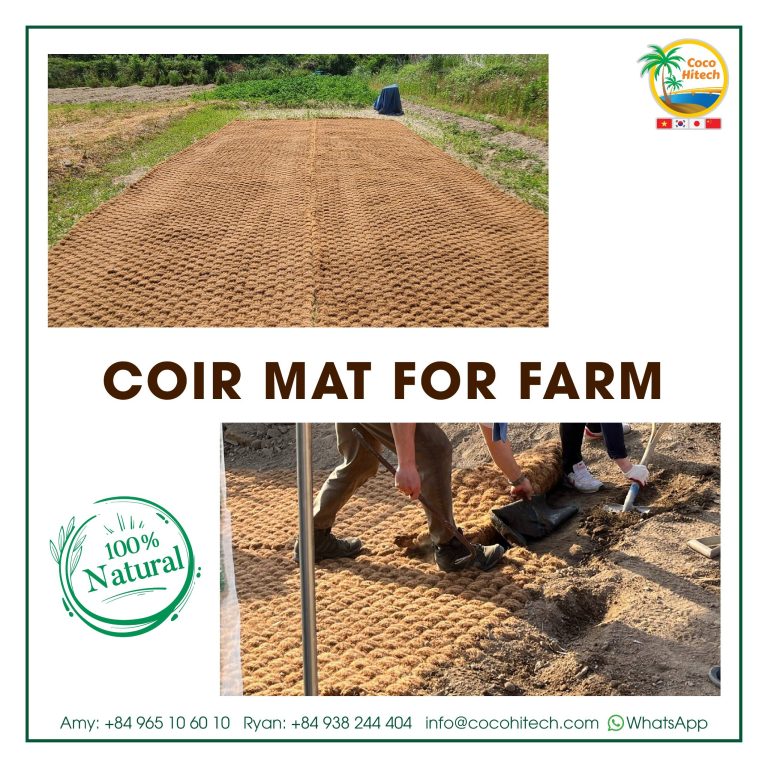 TOP USES OF OUTDOOR COIR MAT IN THE WORLD COCO HITECH