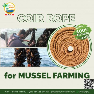 MUSSEL COIR ROPE