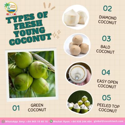 VIET NAM YOUNG COCONUT