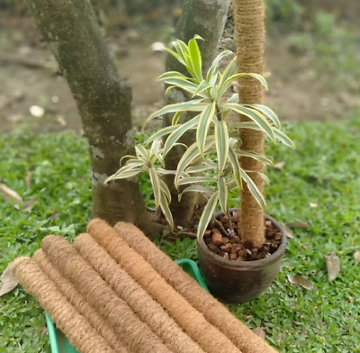 twisted coir rope