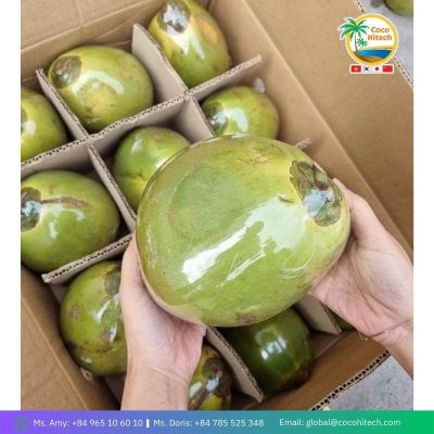 VIETNAM YOUNG COCONUT
