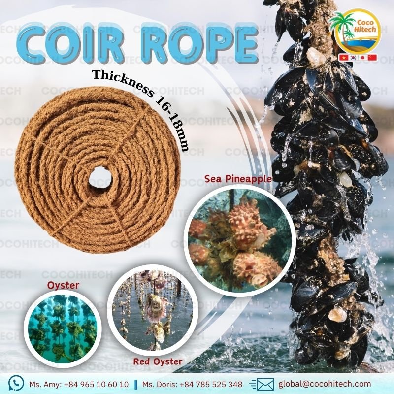 MUSSEL COIR ROPE