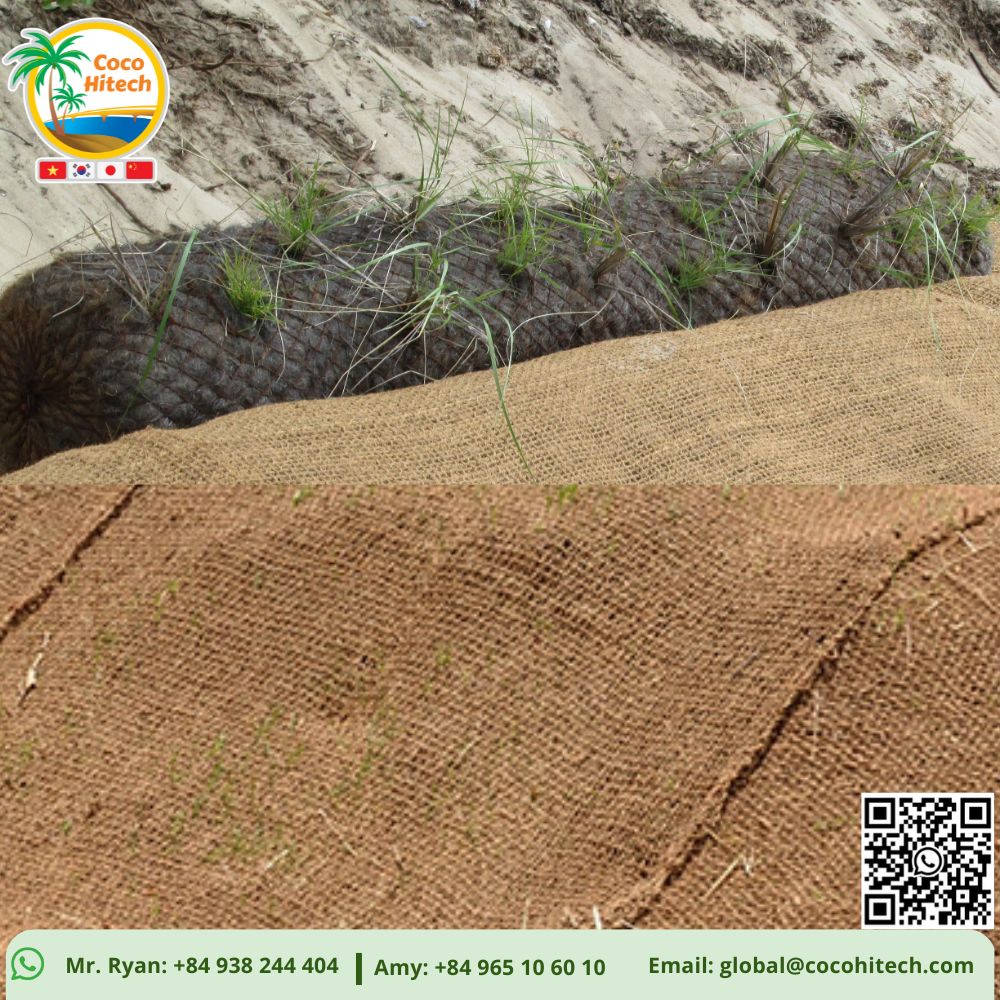 EROSION COIR NET (1)