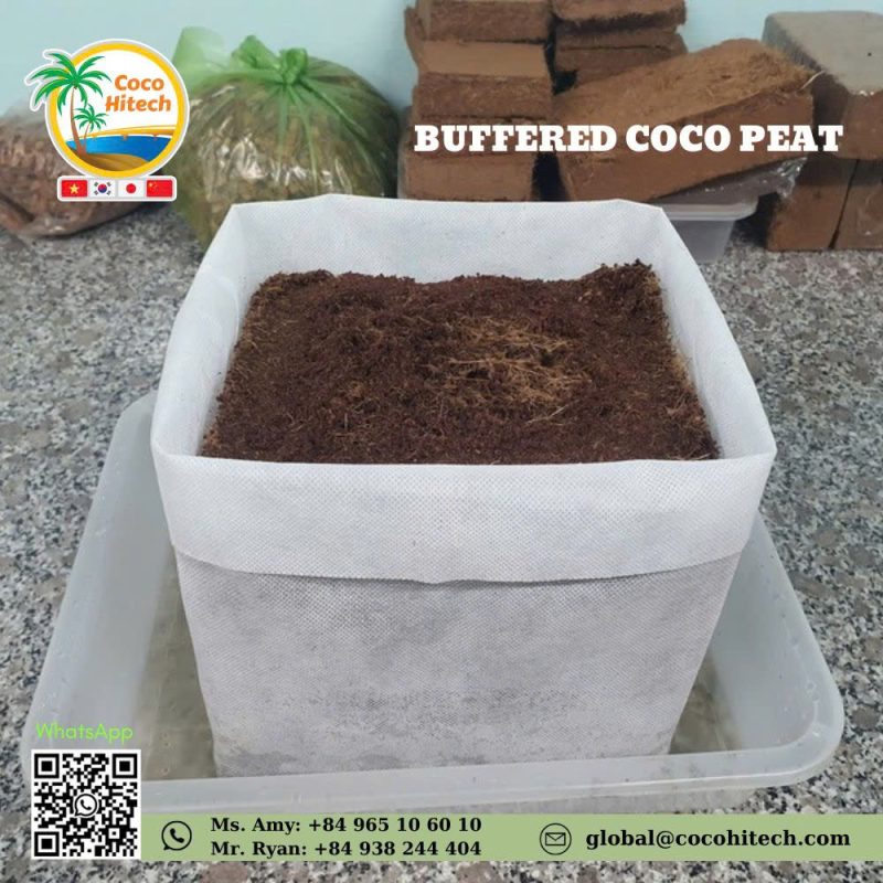 BUFFERED COCO PEA