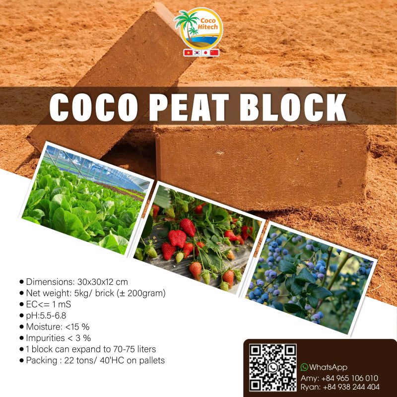 COCO PEAT BLOCK (2