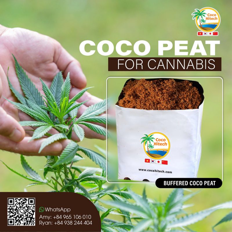 BUFFERED COCO PEAT 