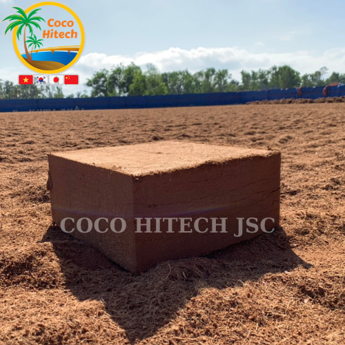 coco peat block 