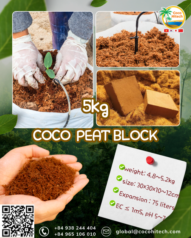 COCO PEAT BLOCK