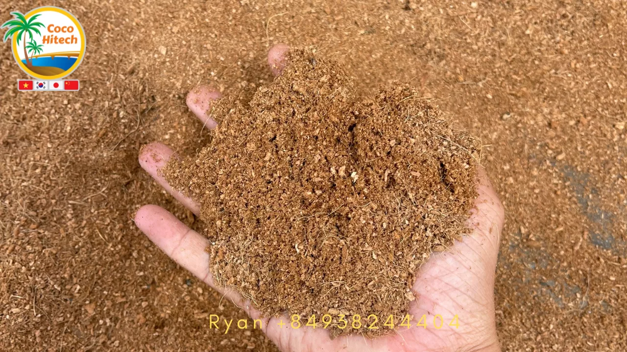 UNWASHED COCO PEAT - HIGH EC