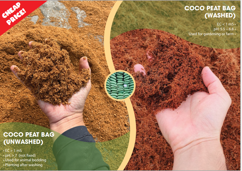 Washed and unwashed coco peat block