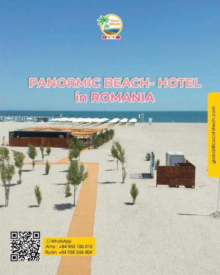 coir mat for beach (3)
