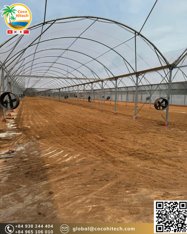COCO PEAT VIETNAM