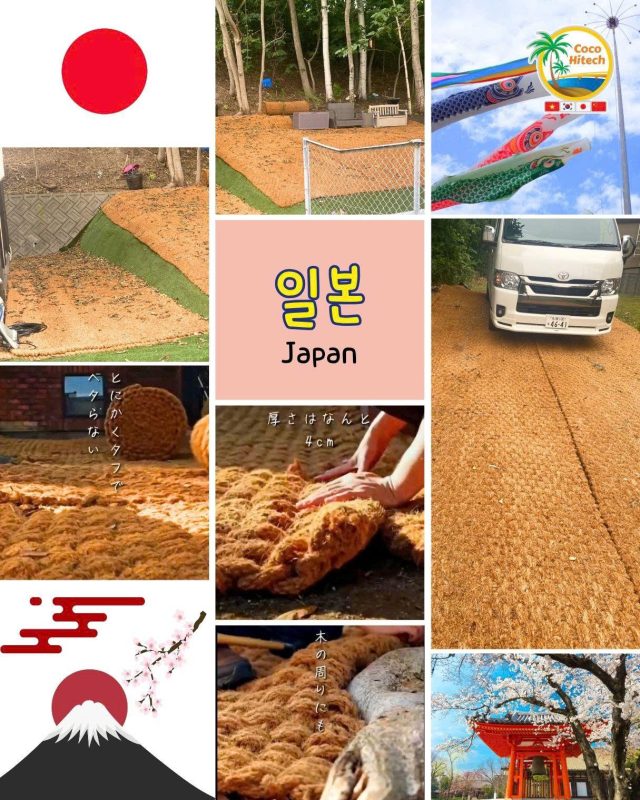 COIR MAT VIET NAM (6