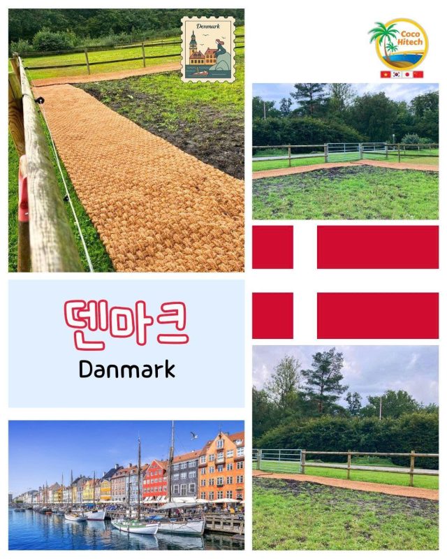 COIR MAT VIET NAM (6