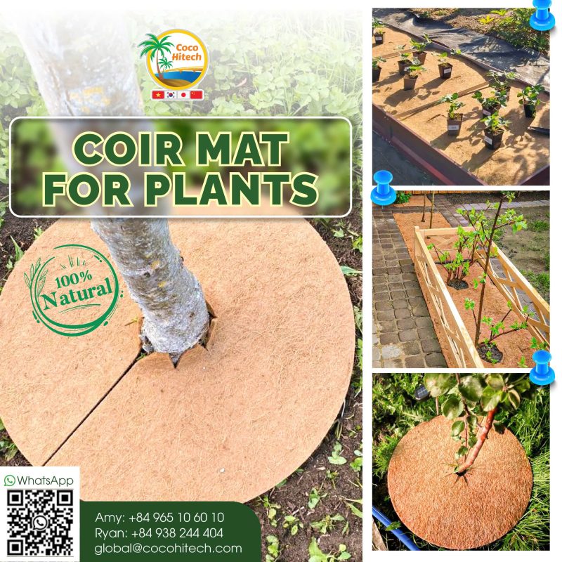 COIR FELT NEEDLE