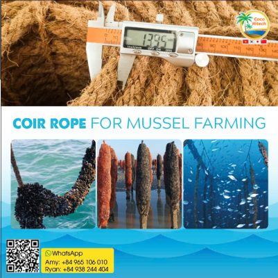 COIR ROPE (2)