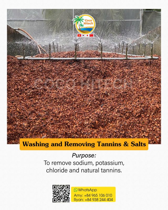 WASHING COCO CHIPS