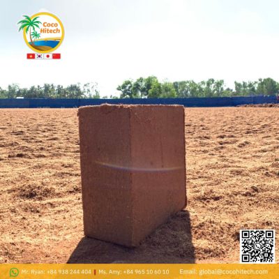 COCO PEAT BLOCK