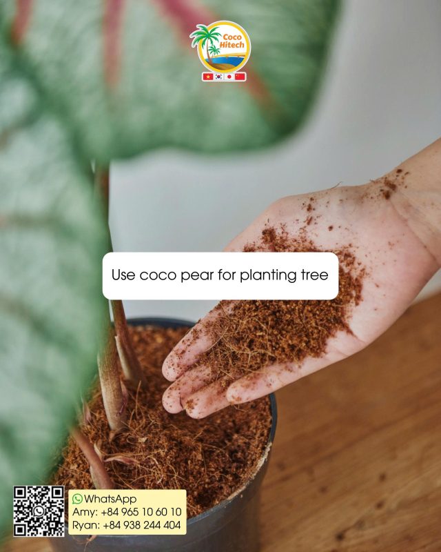 COCO PEAT VIET NAM