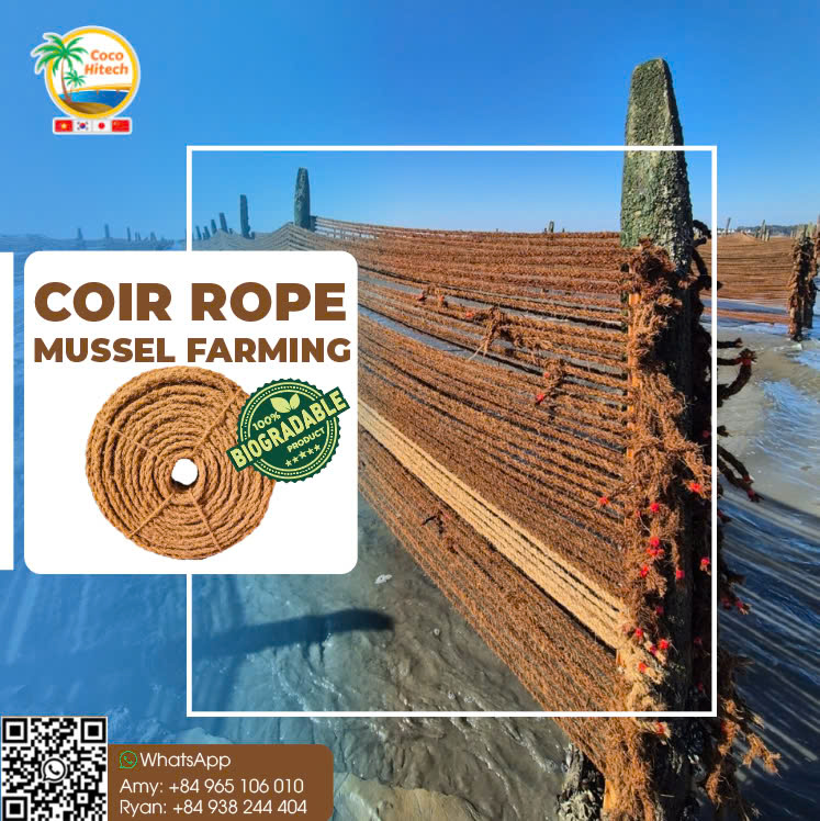 MUSSEL COIR ROPE