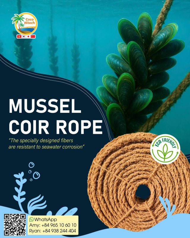 MUSSEL COIR ROPE (2)